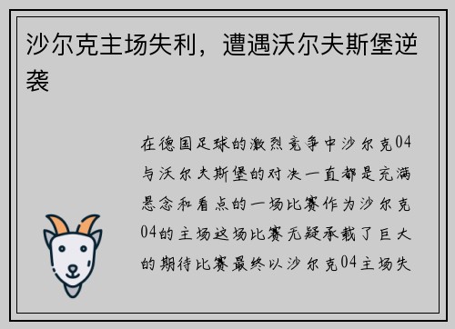 沙尔克主场失利，遭遇沃尔夫斯堡逆袭