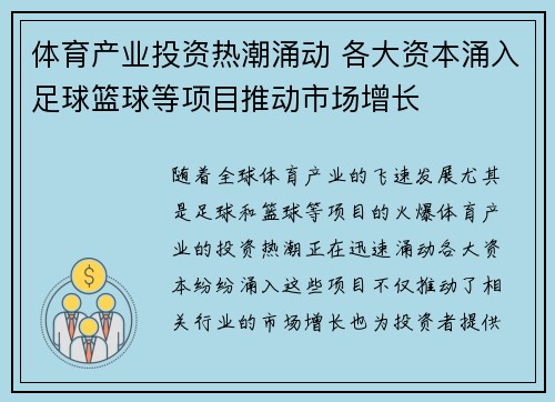 体育产业投资热潮涌动 各大资本涌入足球篮球等项目推动市场增长